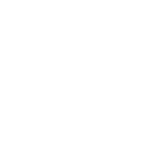 ISO9001-1.webp