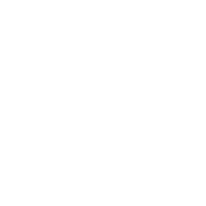 sgs-2.webp