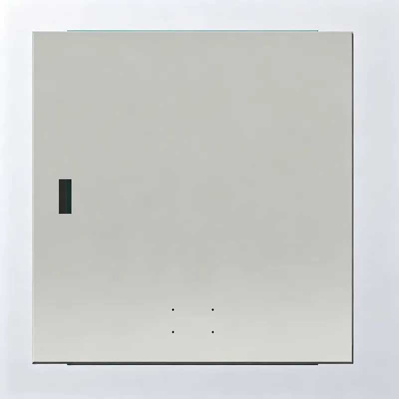 Wall-Mounted Enclosure - Back Panel